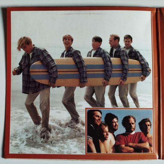 Beach boys disque d or album vinyle occasion 3