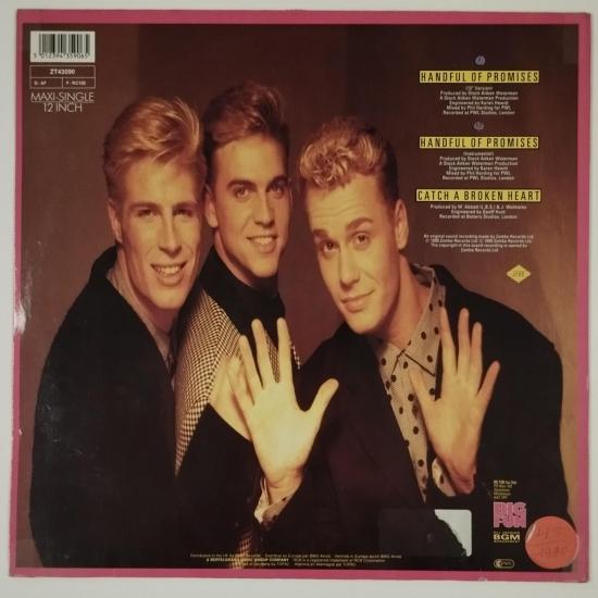 Big fun handful of promises maxi single vinyle occasion 1