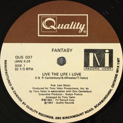 Fantasy live the life i love maxi single vinyle occasion