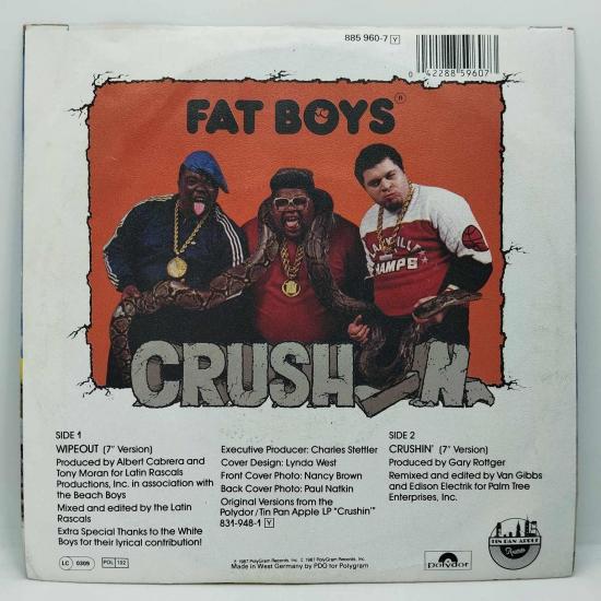 Fat boys the beach boys wipeout single vinyle 45t occasion 1