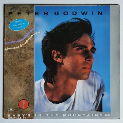 Peter godwin baby s in the mountains maxi single vinyle occasion